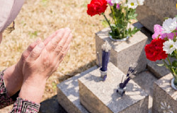友人の命日・一周忌は何をする?お供え物の選び方やお墓参りの注意点をご紹介