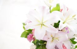 供花を連名で送るには?同級生・有志・夫婦など関係性別にご紹介