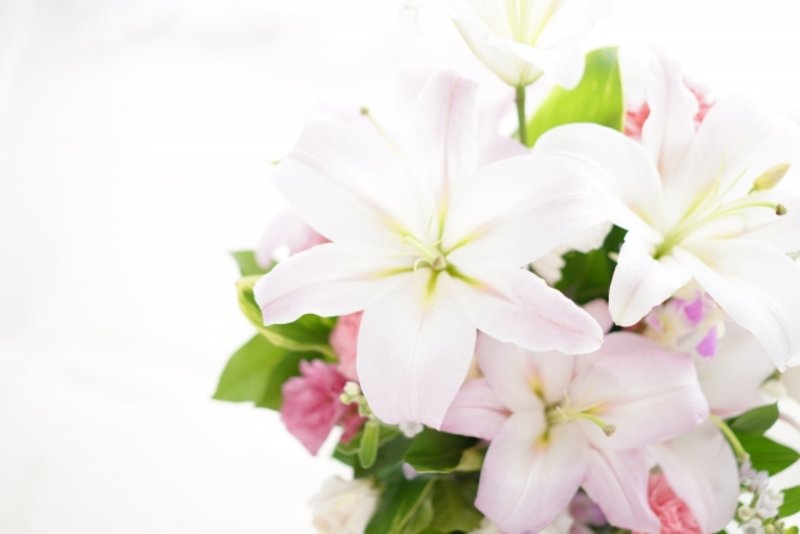 供花を連名で送るには?同級生・有志・夫婦など関係性別にご紹介