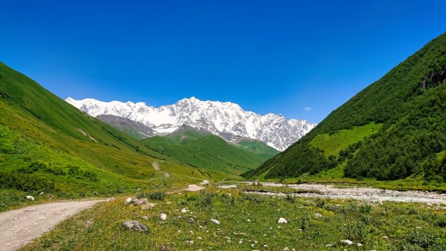 ご遺骨の保管場所・状態別の散骨までの流れや注意点について解説