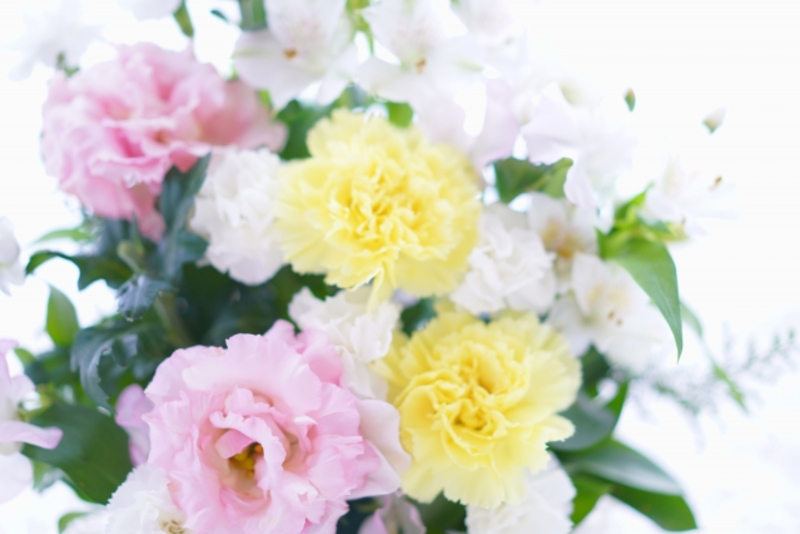 亡くなった母に贈る花は 白いカーネーションの意味について解説 葬想式のコラム 亡くなった母に贈る花は 白いカーネーションの意味について解説 葬想式のコラム