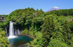 散骨後の後悔を防ぐ!大切なポイントと注意点4つ