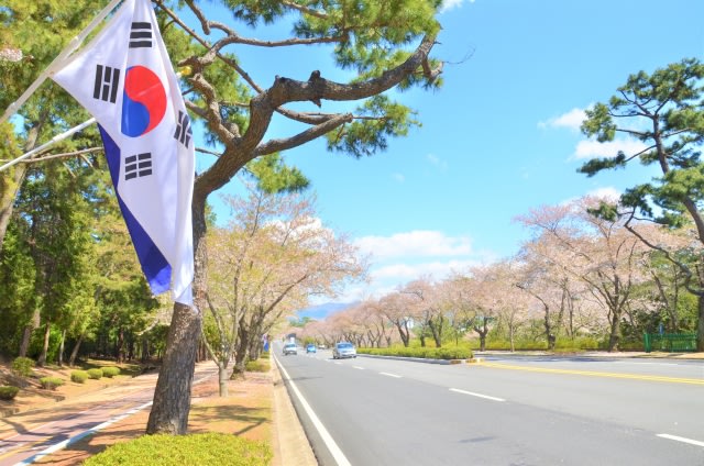 韓国のお葬式に参列する時の流れについて解説