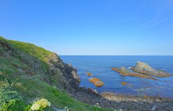 海に散骨するための準備や手順について解説