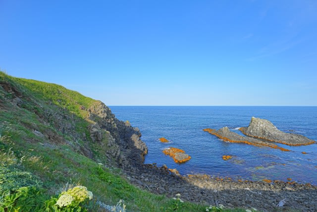 海に散骨するための準備や手順について解説