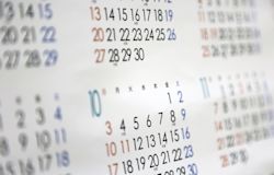 命日・月命日とは?月命日の過ごし方もご紹介