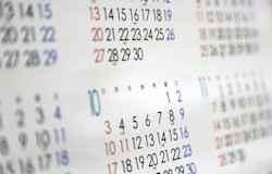 命日・月命日とは?月命日の過ごし方もご紹介
