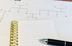 エンディングノートはダイソーで買える!?実際に購入して調査しました!