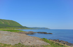 散骨は合法?違法?問題になるケースについても解説