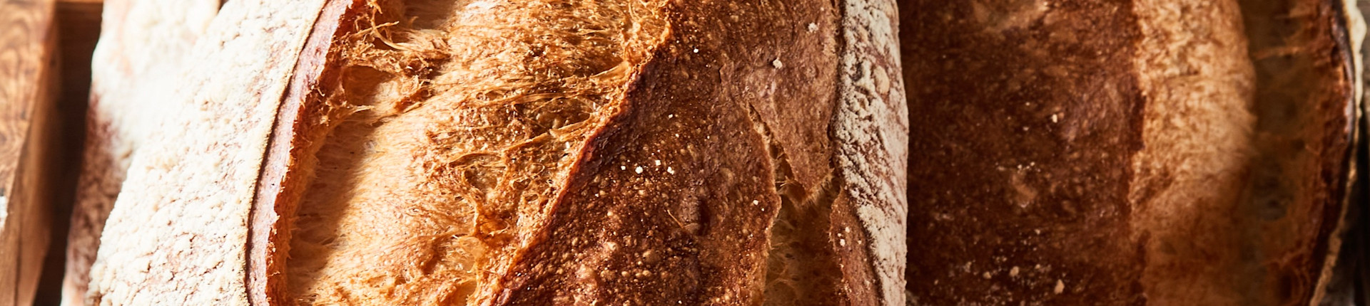 Bornholmscatermesse banner billede