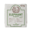 Elephant, NA