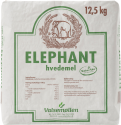 Elephant, NA