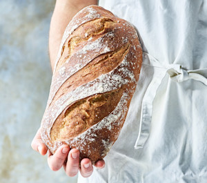ciabatta web