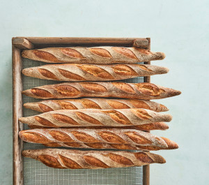 grillkampagne bagette 2 b