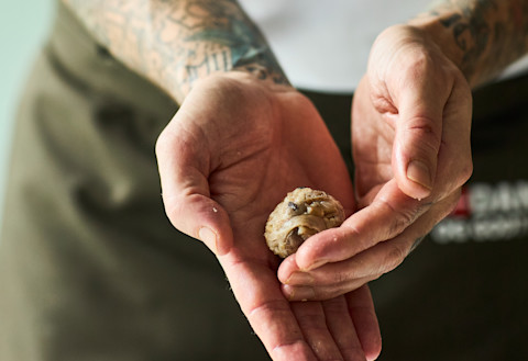 Risottokugler-krammerhus-proces-41