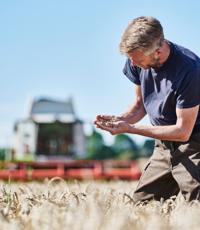 Læs om dansk mel her
