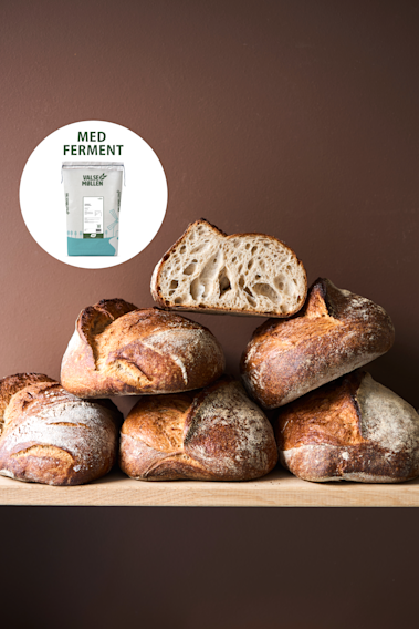 Surdejsbroed med ferment