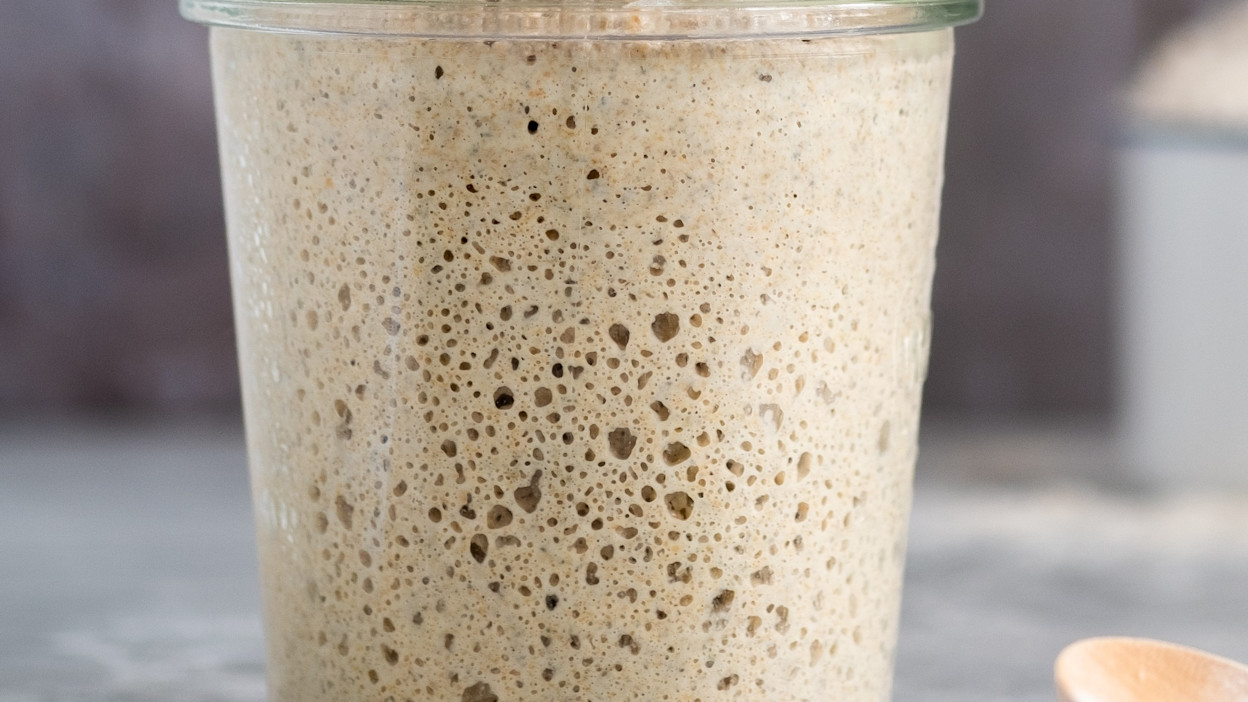 Surdej Valsemoellen CathrineBrandt 1