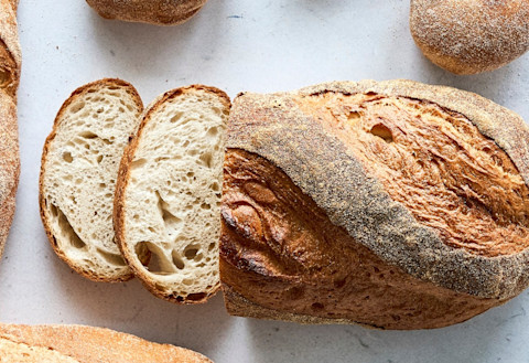 ko Basis Hvedesur 20-80 1 (2)