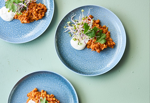 Daal foodservice