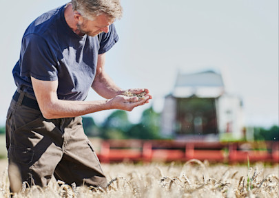 Høj konsistent kvalitet