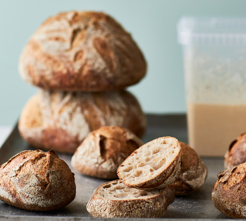 Surdejsbrød og boller ferment