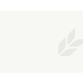 Økologisk surdej til rugbrød