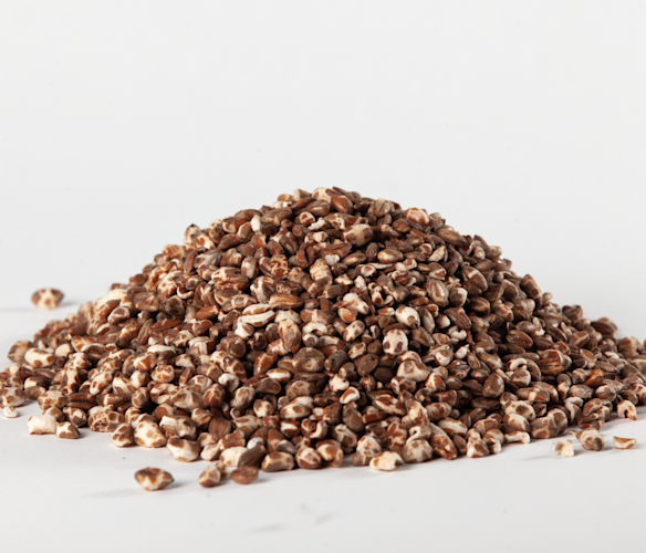 9284122 poppede rugkerner front