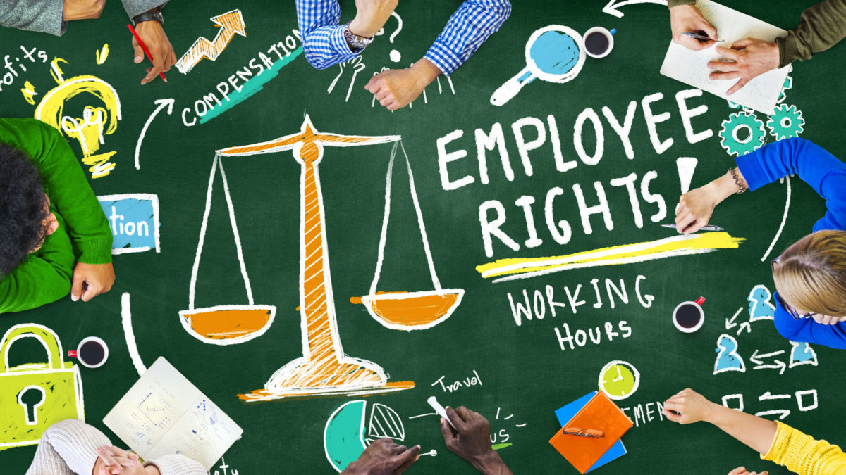 What are your rights in a casualised workplace?