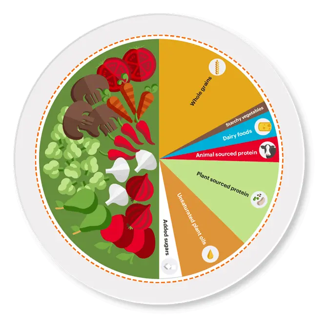 A plate containing the ingredients of the Planetary Health Diet. Source: The Lancet.