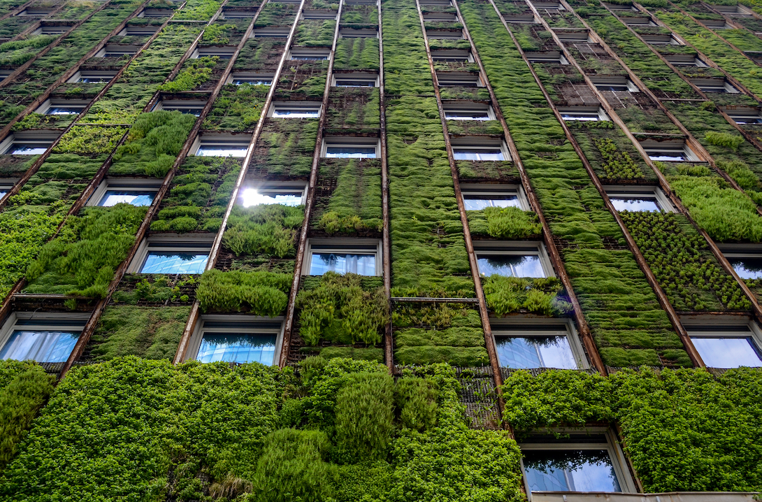 Can you live off-the-grid in a city?