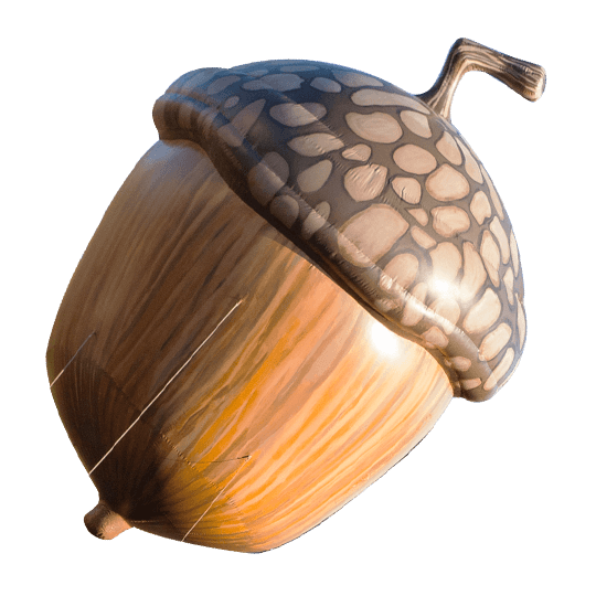 Acorn 