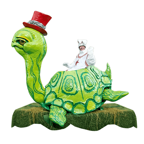 thumb rocking tortoise