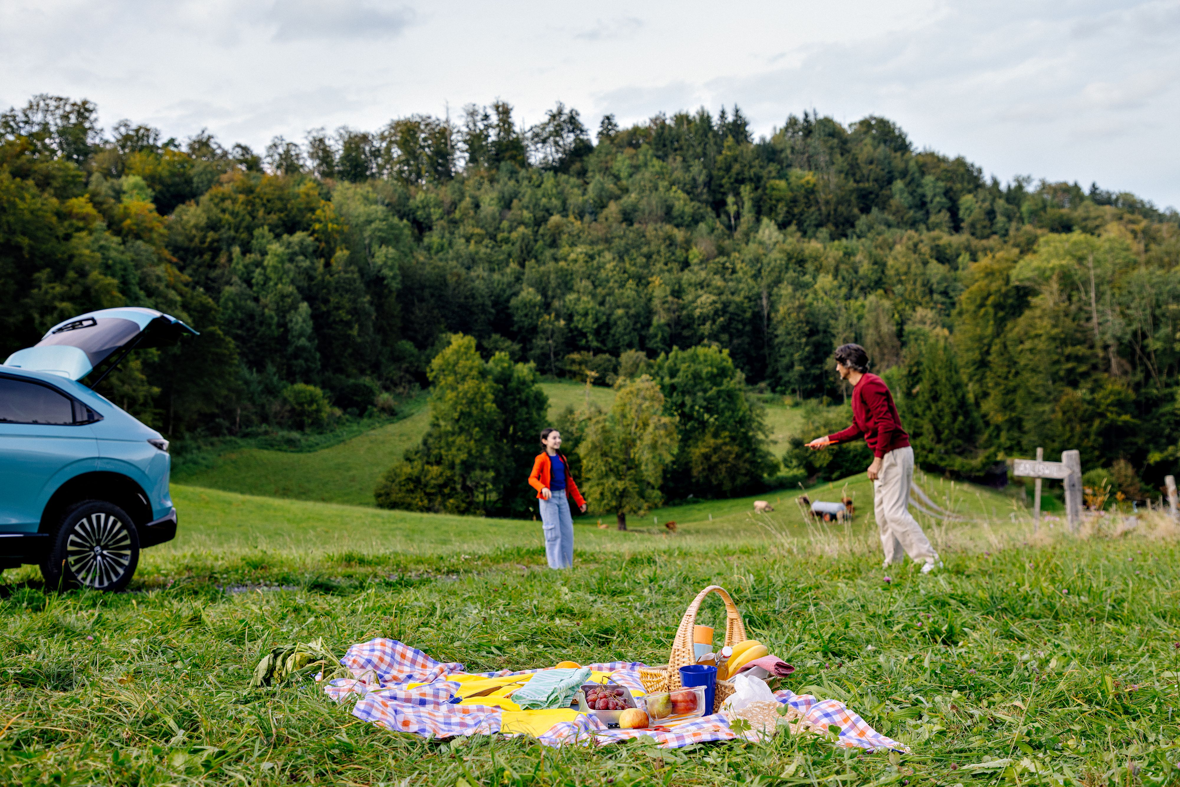Familie Picknick Spielen Blitzdecke