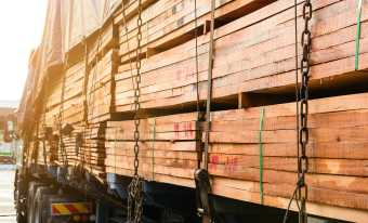 Aziende efficienti specializzate nella lavorazione del legno