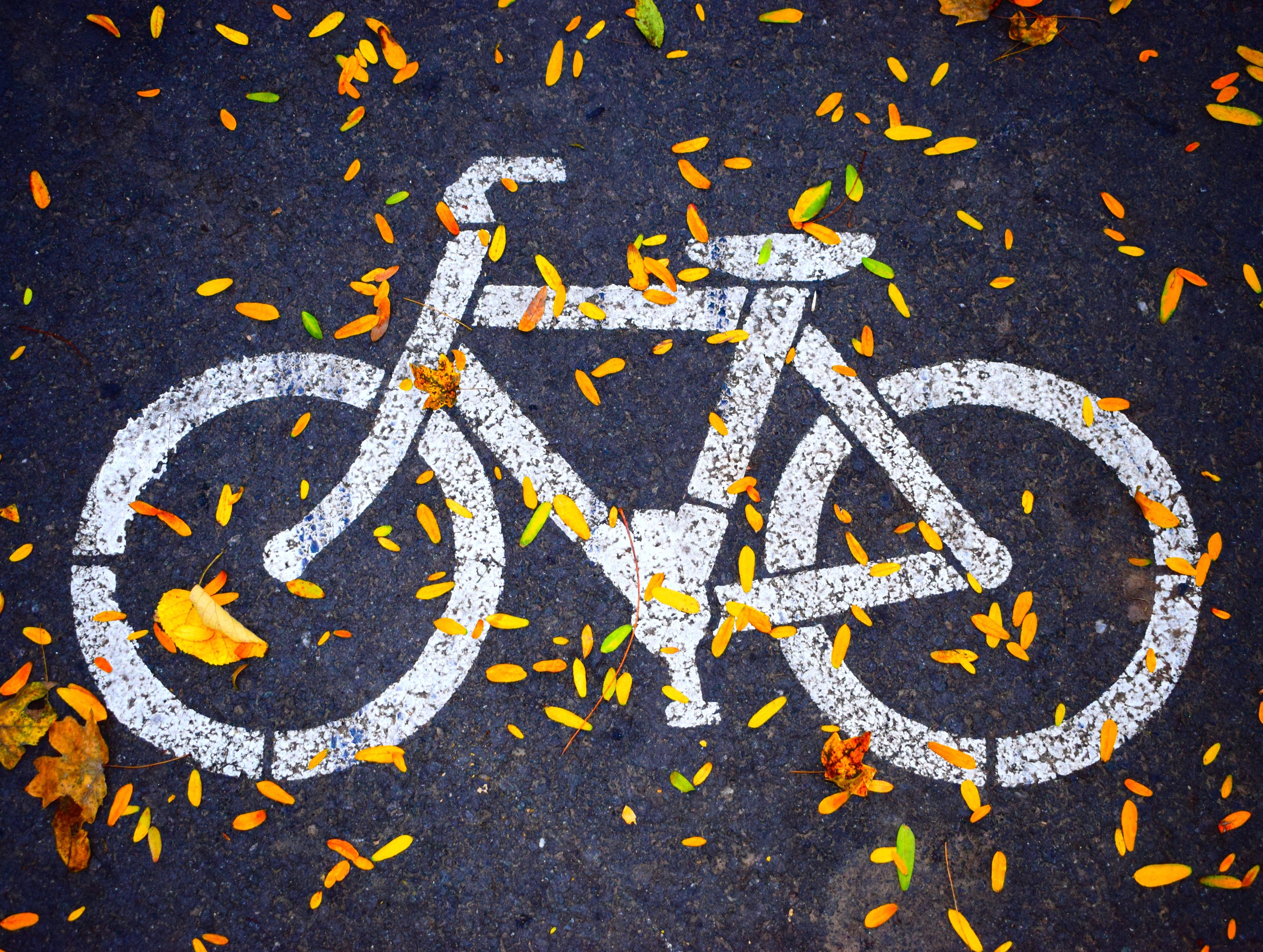 Icône de vélo peint sur la route, avec quelques feuilles d'automne tombées dessus