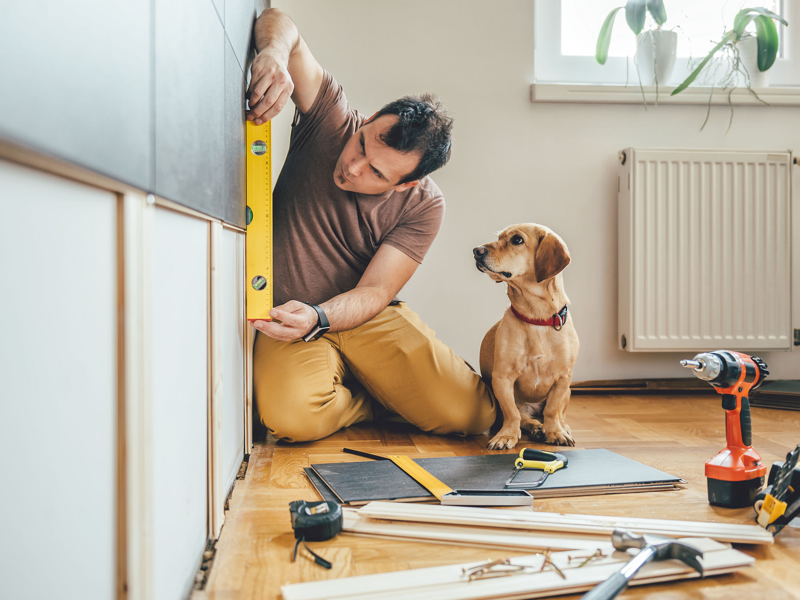 Un uomo rinnova il muro di una stanza mentre un cane guarda.