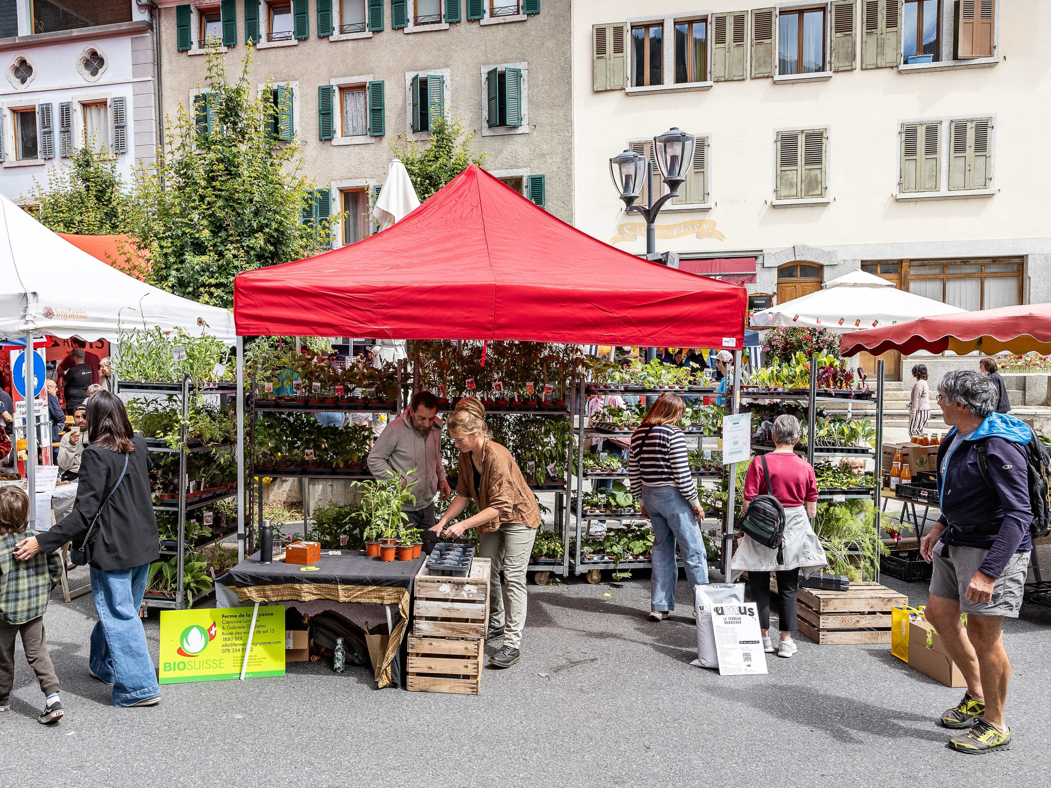 Persone riunite davanti a una bancarella di piantine in un mercato.