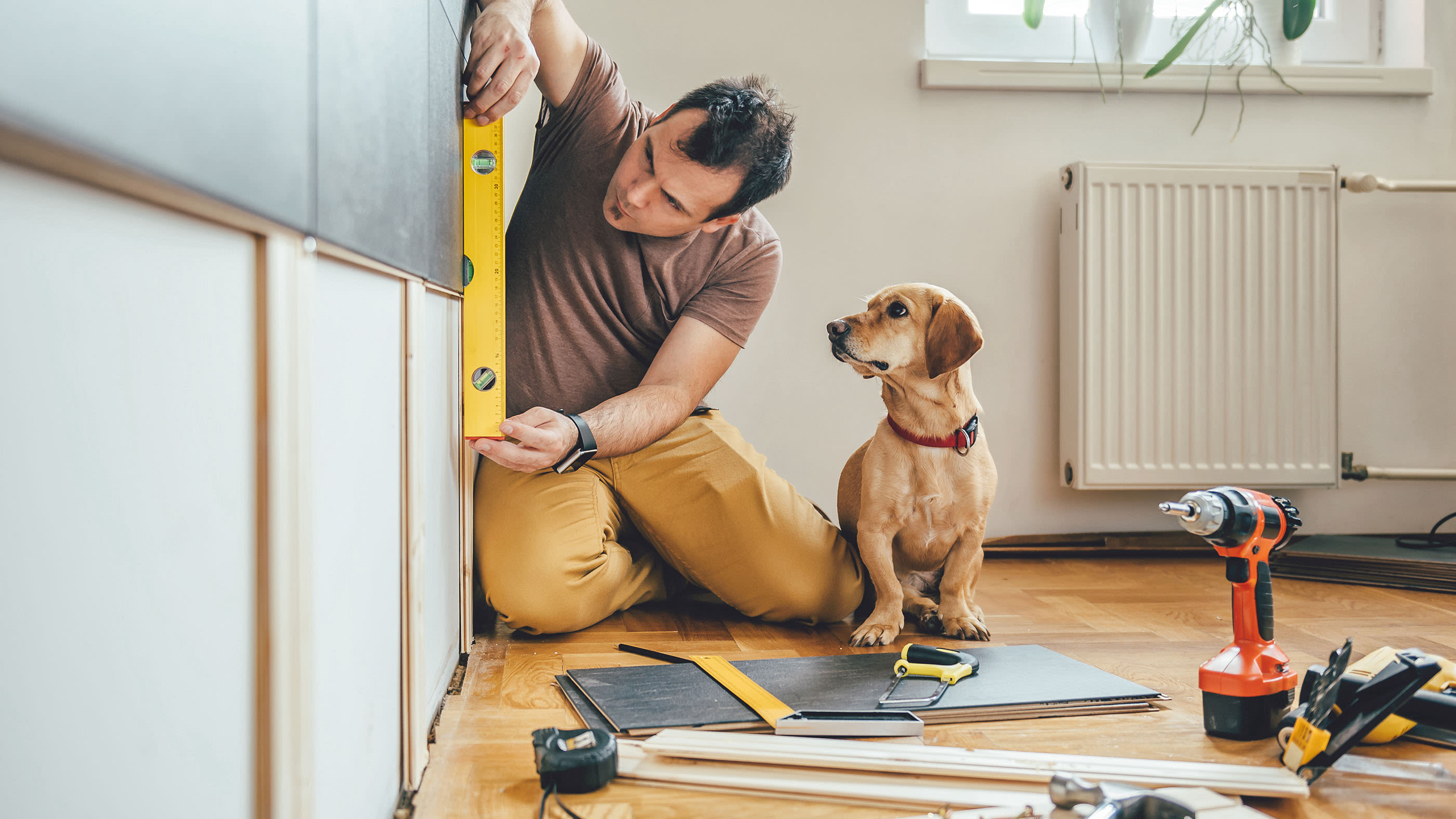 Un uomo rinnova il muro di una stanza mentre un cane guarda.