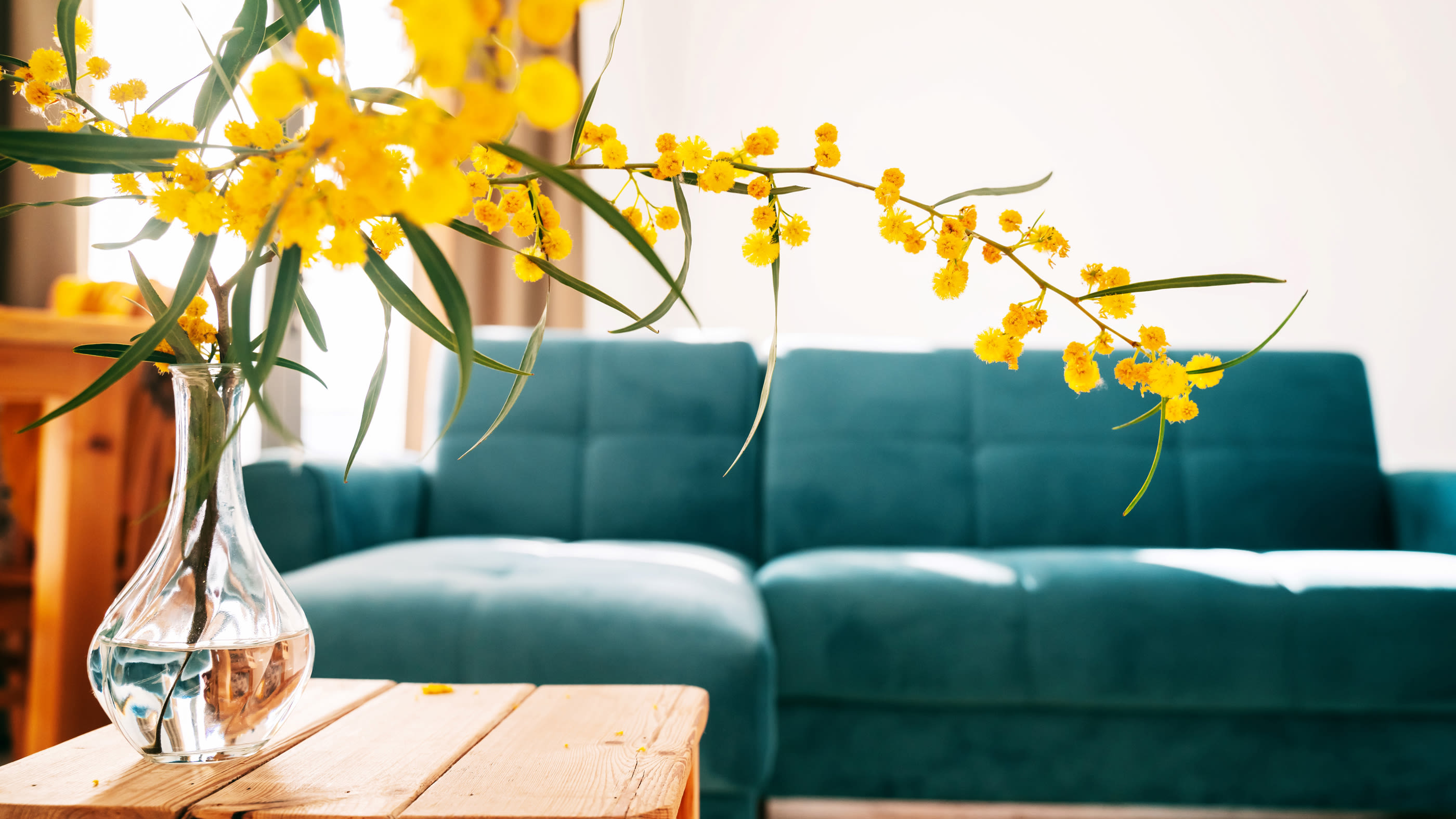 Soggiorno con fiori gialli.