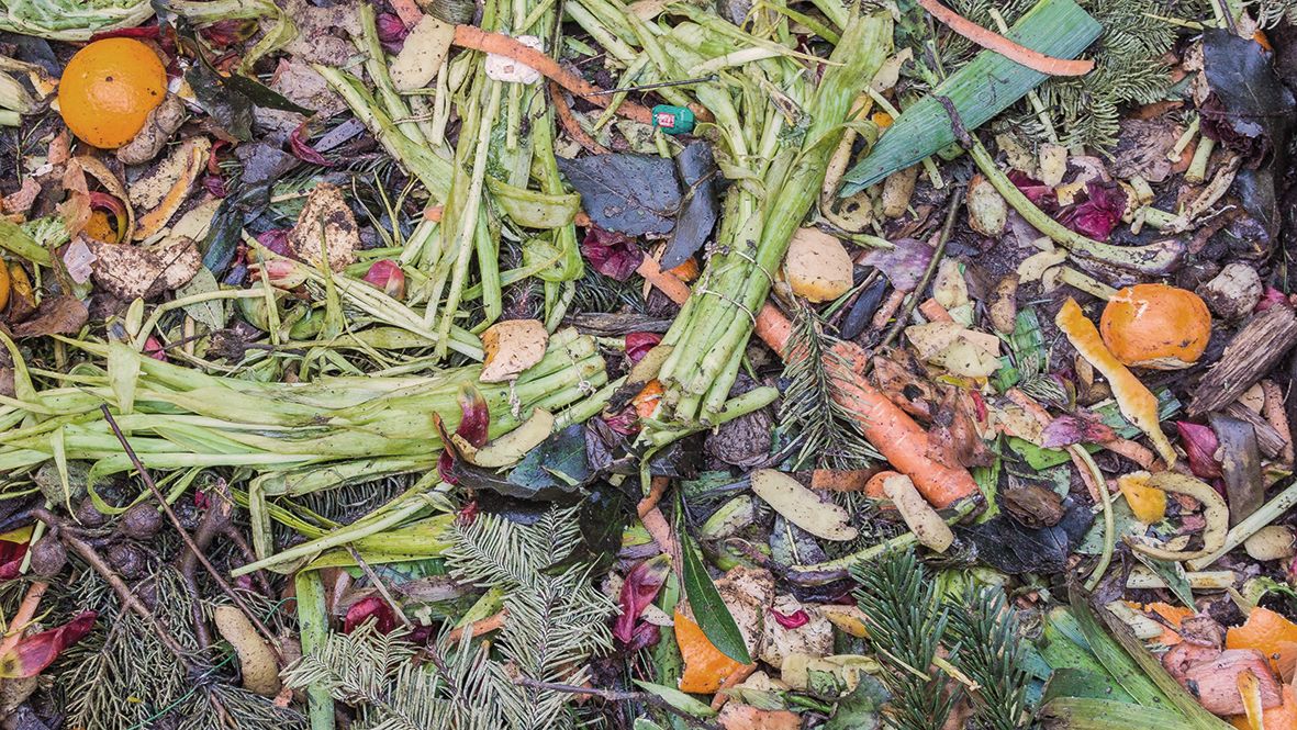 Déchets biologiques sur un compost