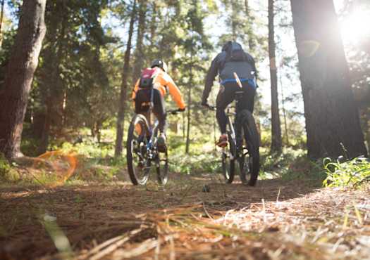 Zwei Fahrradfahrer im Wald.