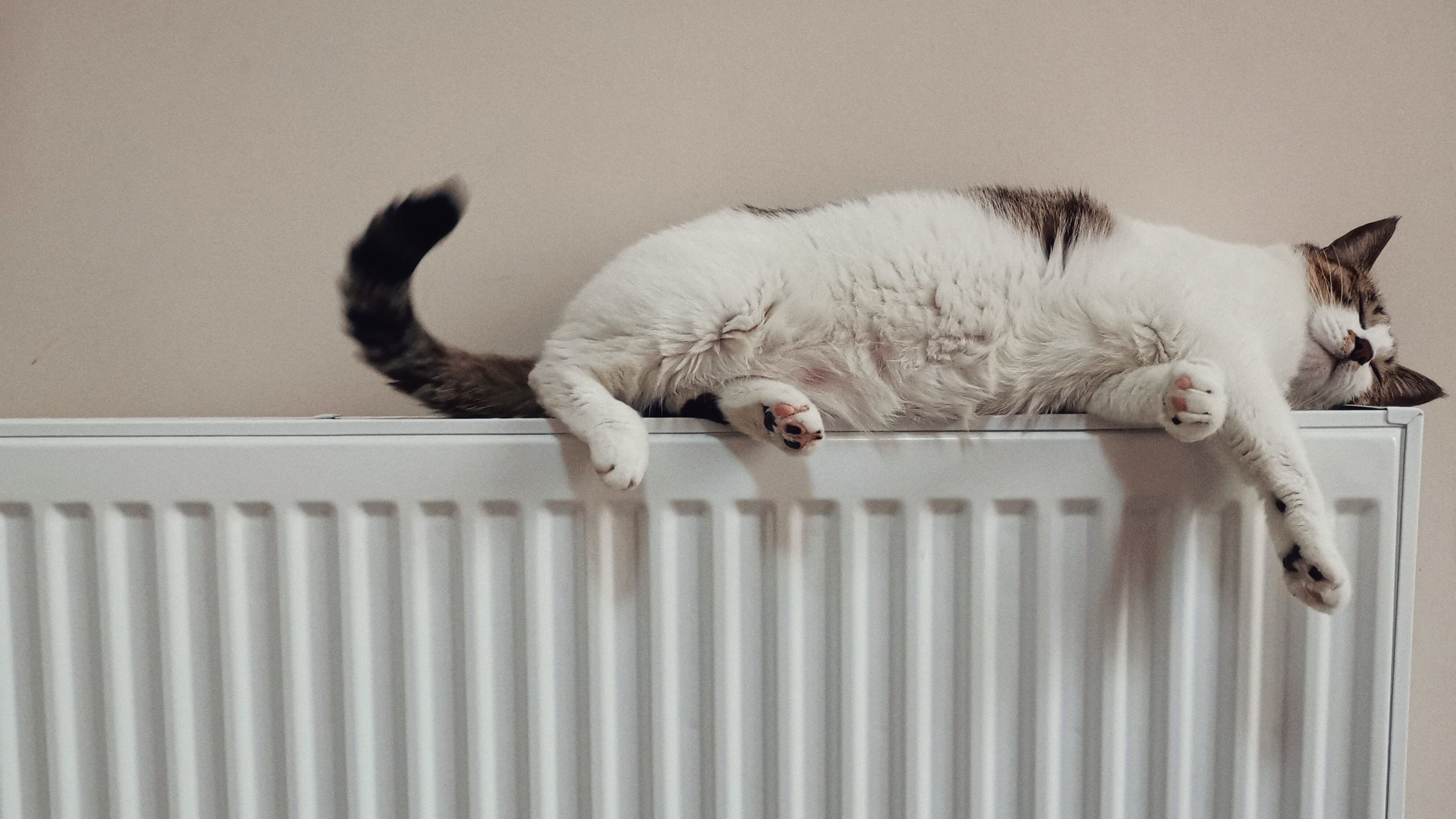 Un chat est couché sur un radiateur chaud.