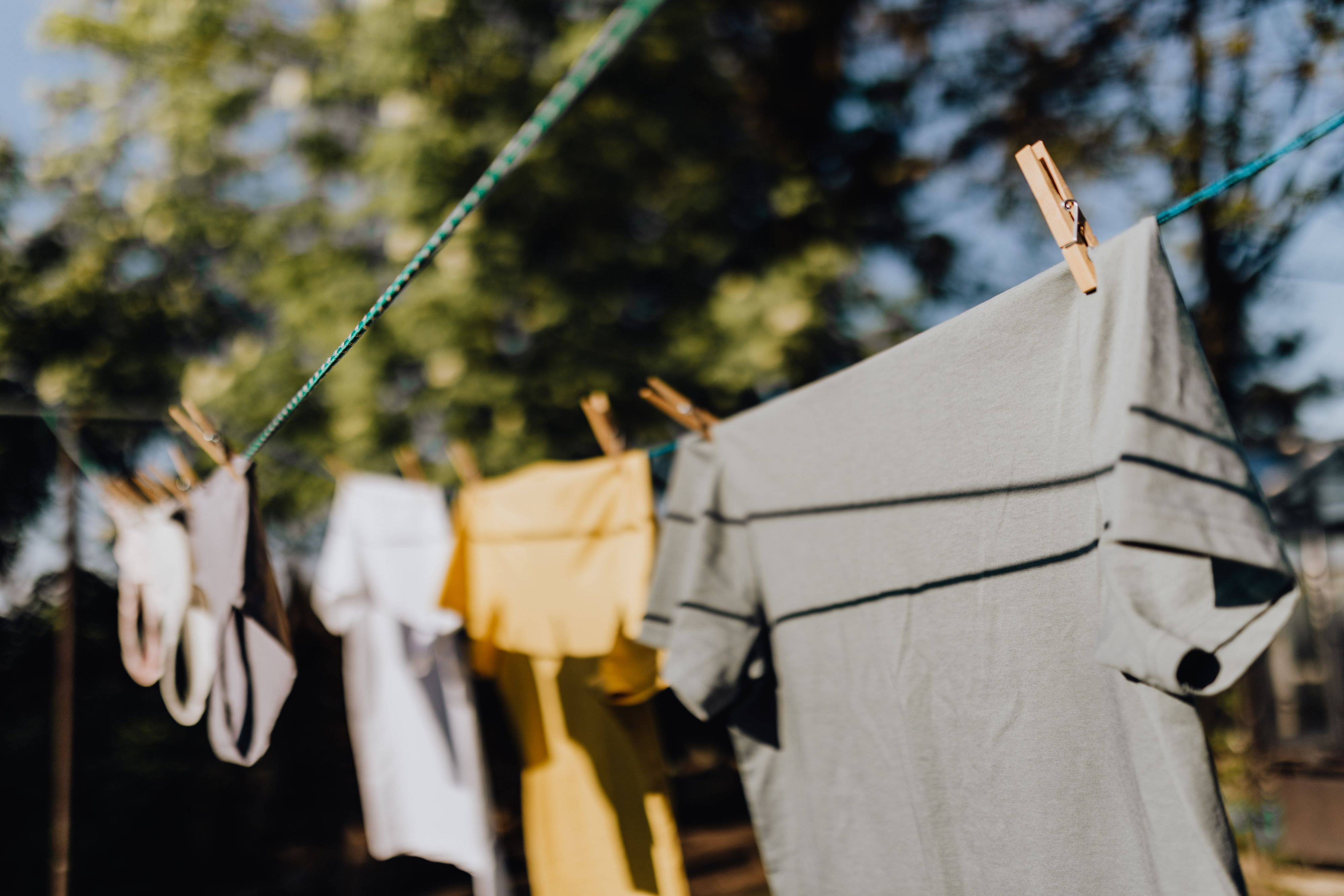 Le linge sèche sur une corde à linge dans le jardin.