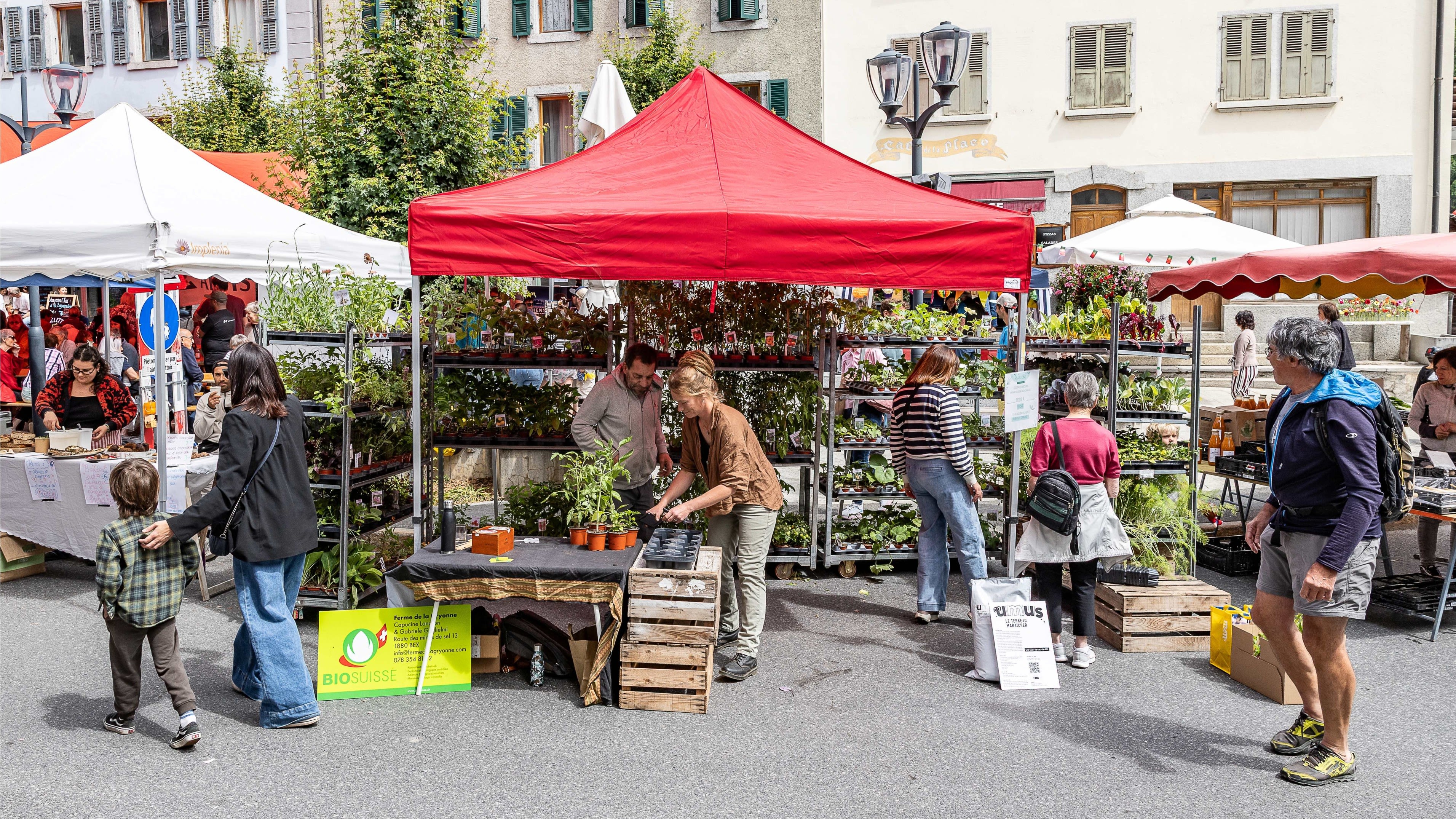 Mehrere Personen stehen vor einem Marktstand mit Jungpflanzen.