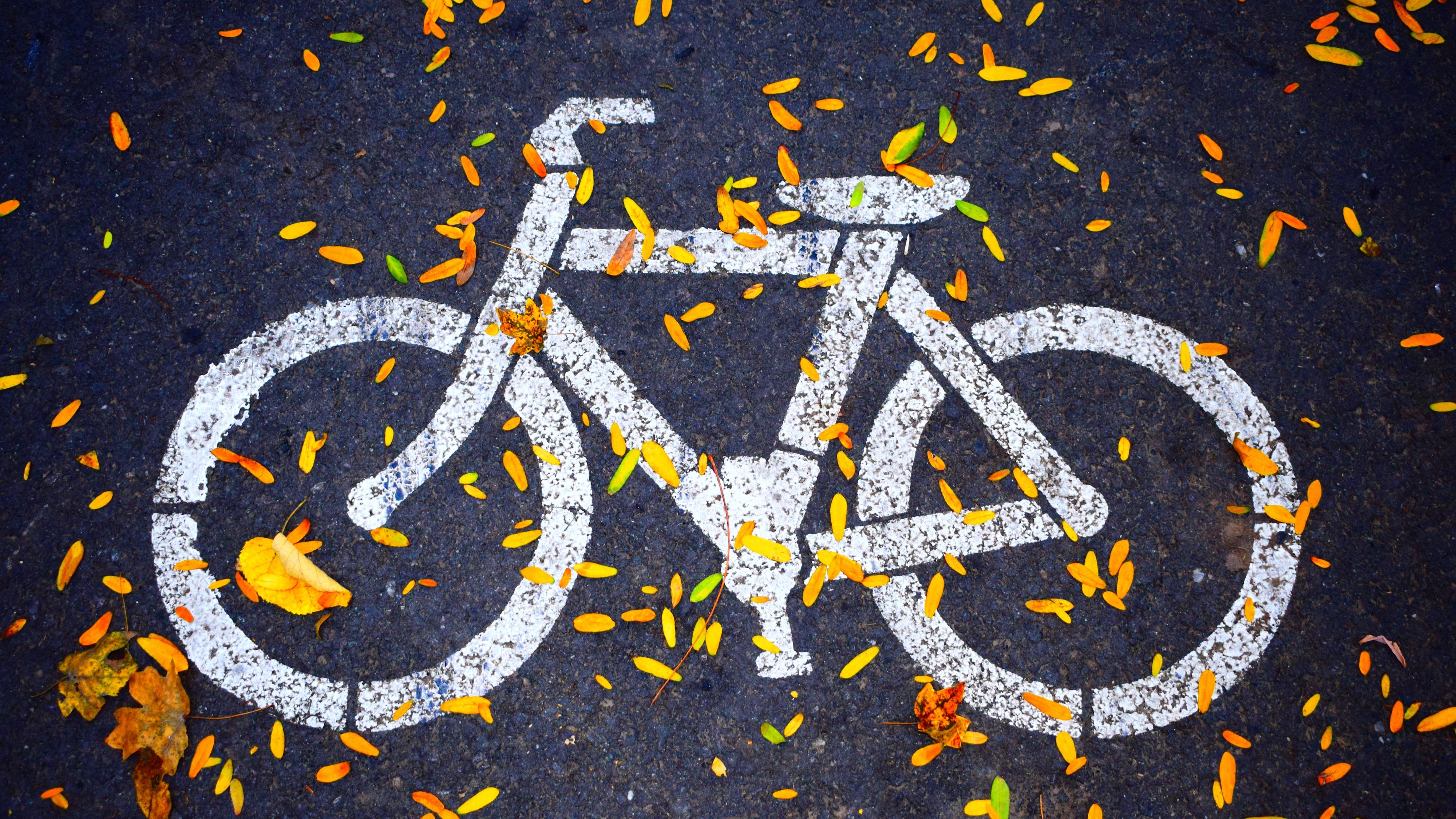 Auf einem Veloweg auf den Boden gemaltes Velosymbol, das teilweise mit Laub bedeckt ist