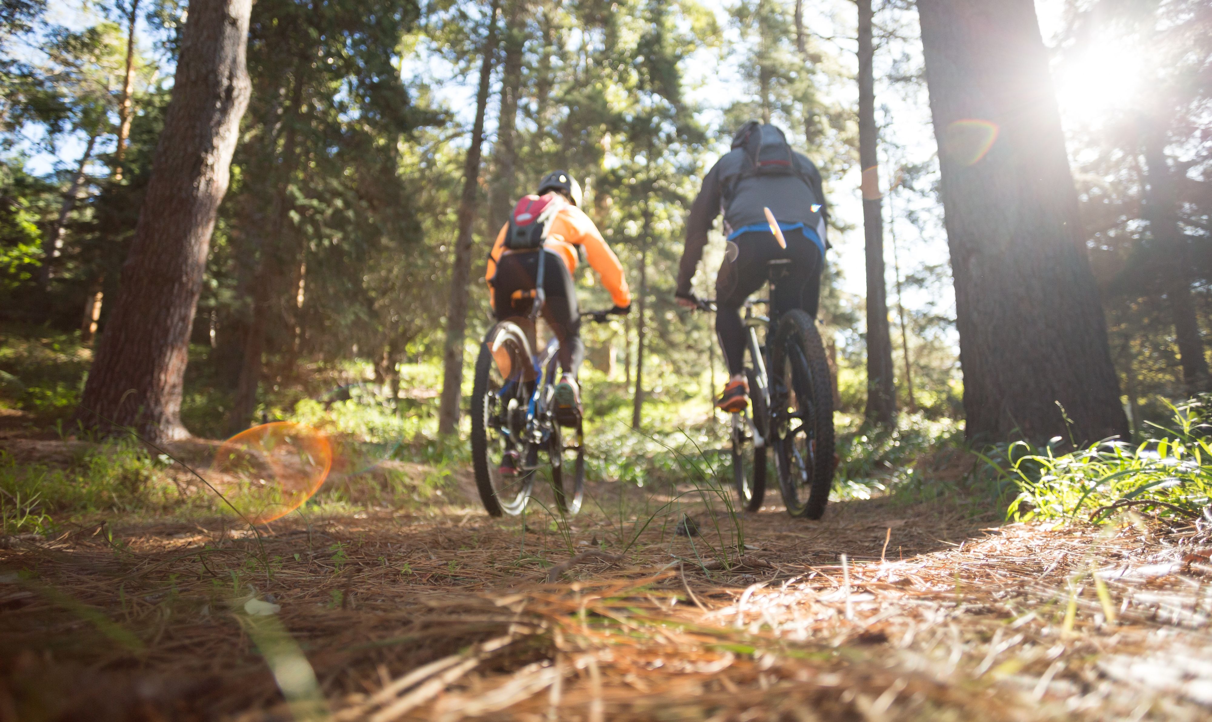 Zwei Fahrradfahrer im Wald.