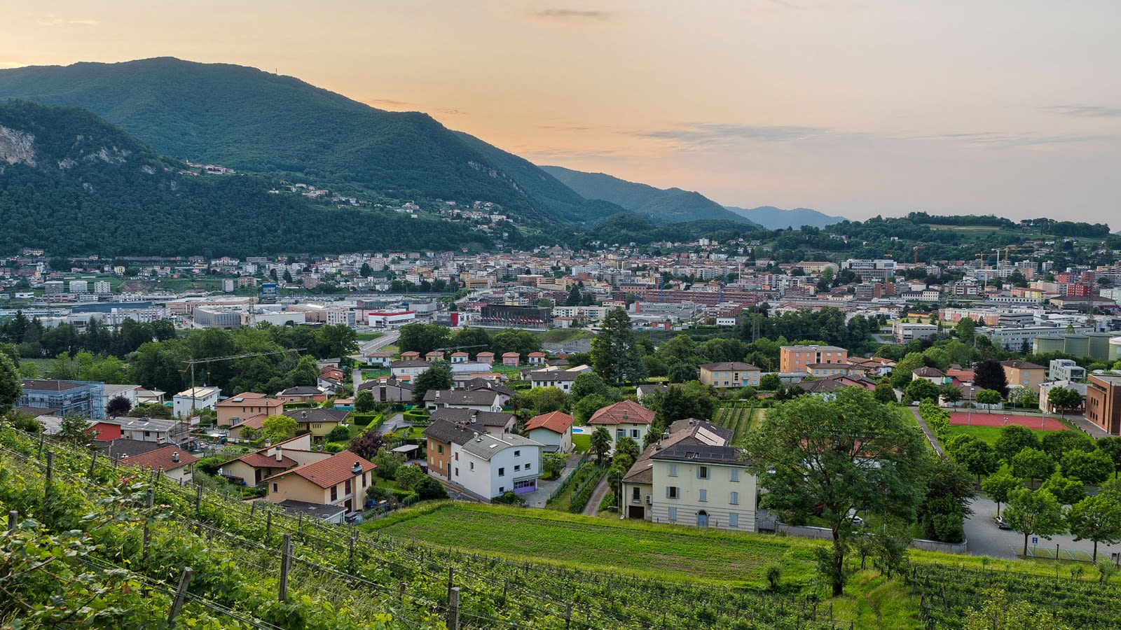 Vue sur Mendrisio avec des vignobles, des maison dans la vallée et des collines boisées sous un ciel crépusculaire.