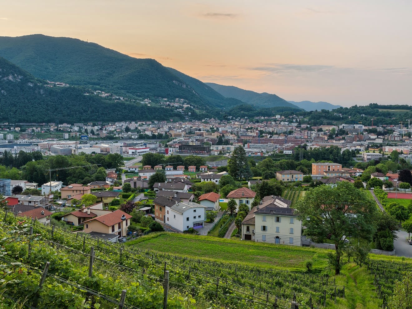 Vue sur Mendrisio avec des vignobles au premier plan, la ville dans la vallée et des collines boisées au crépuscule.