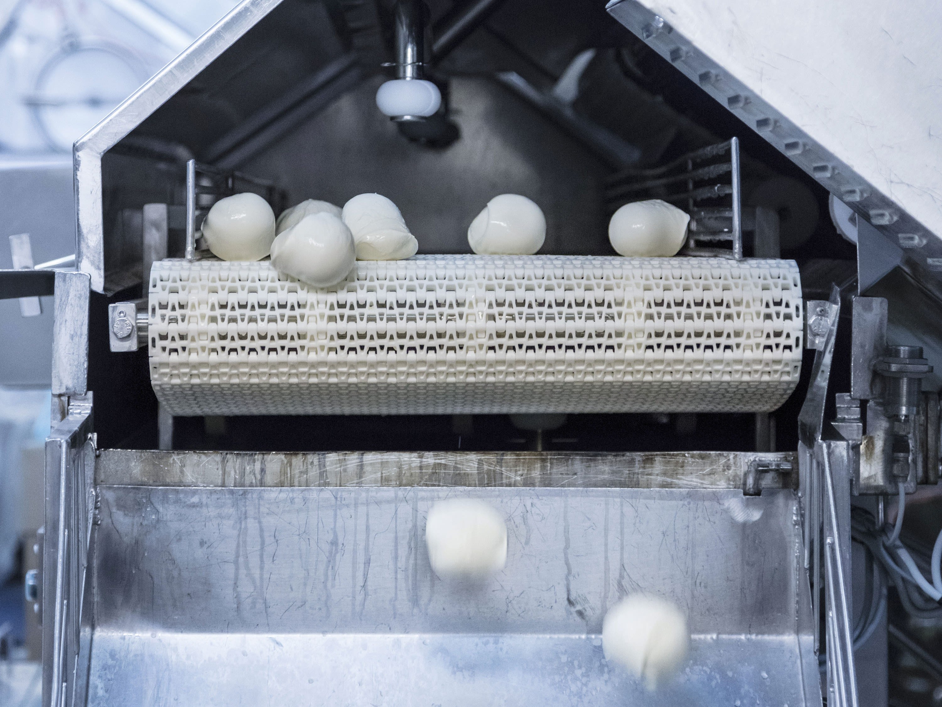 Mozzarella aus nachhaltiger Produktion von Emmi auf dem Transportband